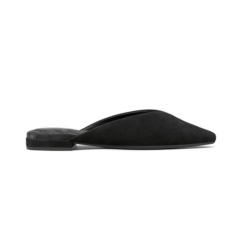 The Swan in Black