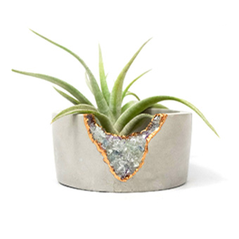 Tal & Bert, Cement Mini Planter, $38
