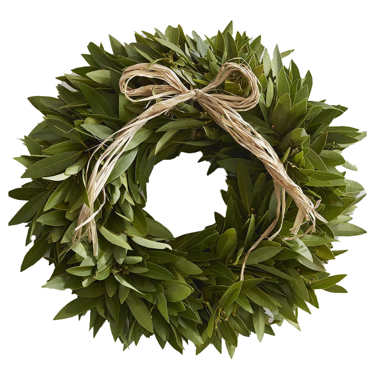 McFadden Farm Fresh Bay Leaf Wreath with Raffia Bow, $36